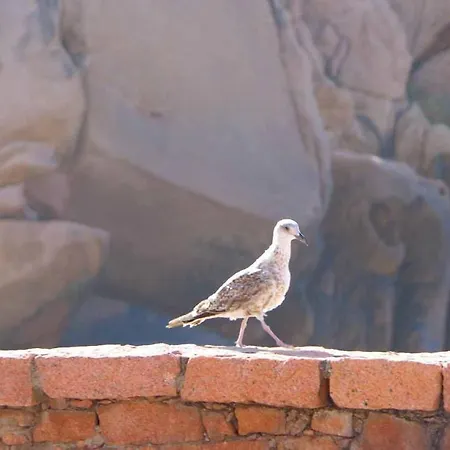 Le Golfe Ecolabel Eu 3*