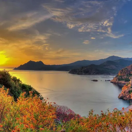 Le Golfe Ecolabel Eu ホテル