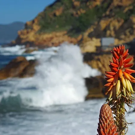 Le Golfe Porto (Corsica)