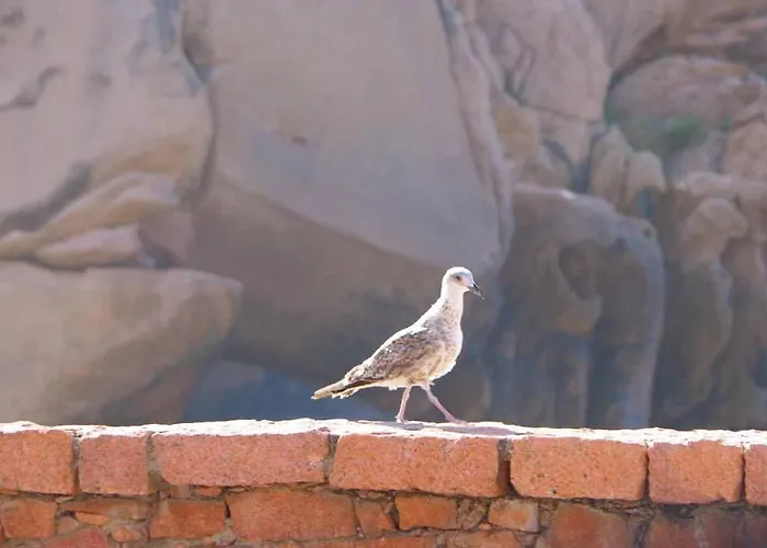 Le Golfe Ecolabel Eu 3*