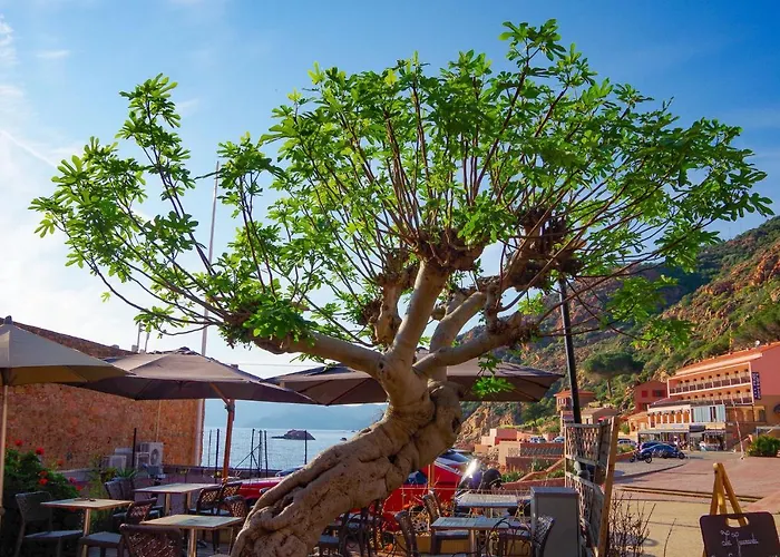 Le Golfe Ecolabel Eu 3* Porto (Corsica)