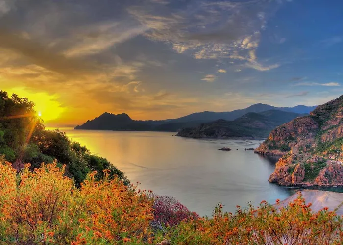 Le Golfe Ecolabel Eu מלון