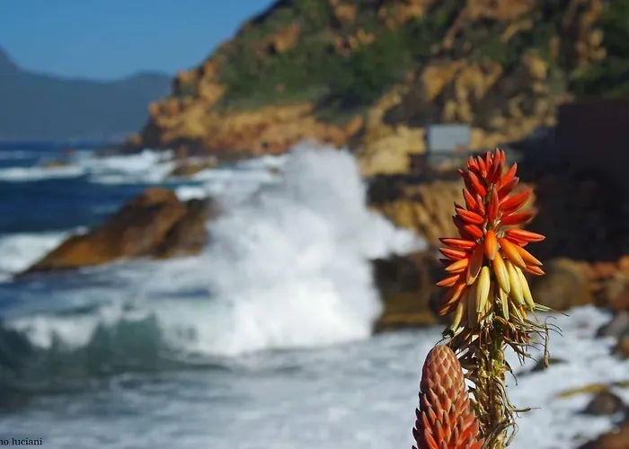 Le Golfe Ecolabel Eu Porto (Corsica)