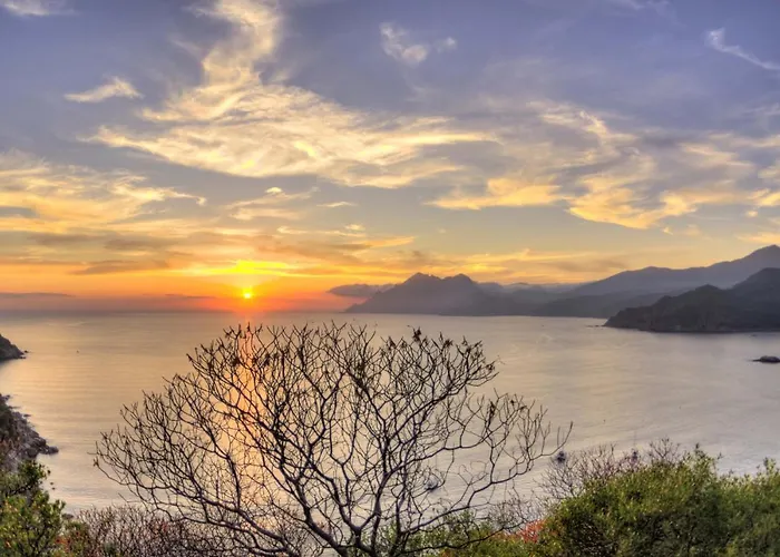 Le Golfe Ecolabel Eu מלון Porto (Corsica)